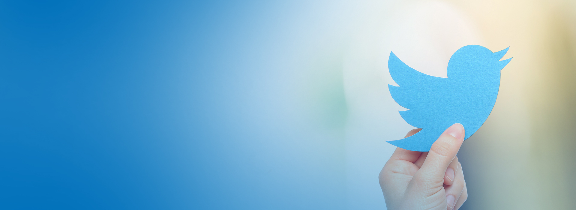 TOT-TopBanner-Twitter