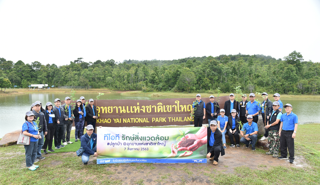 plookpakhaoyai01