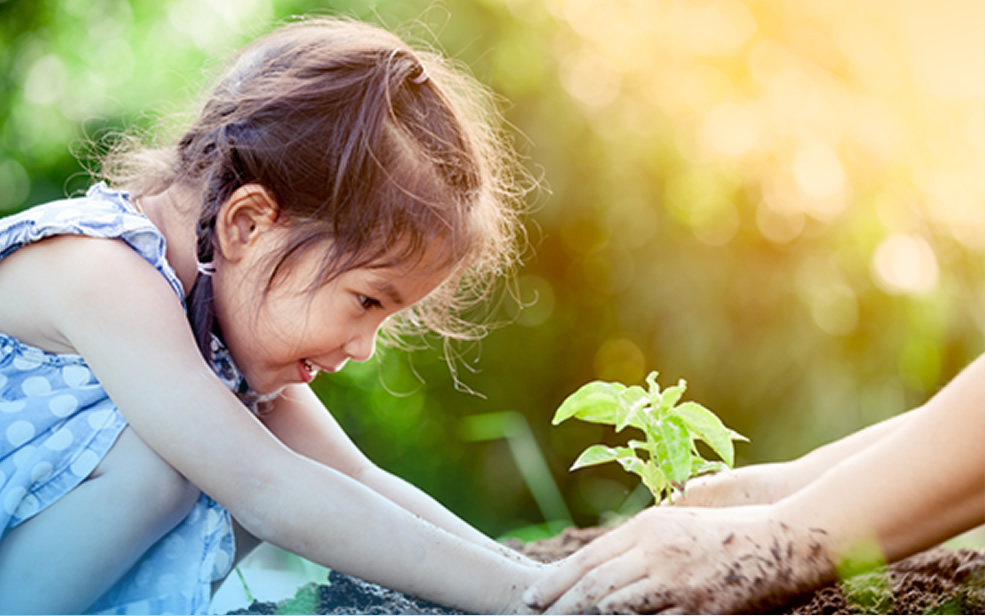 content-tree-planting-2