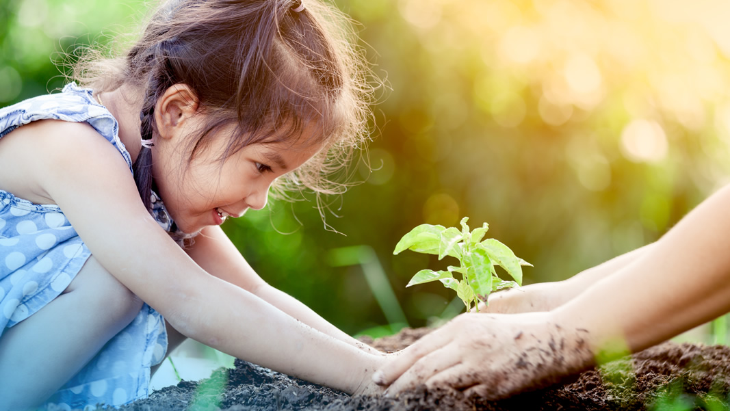 gallery-tree-planting-1