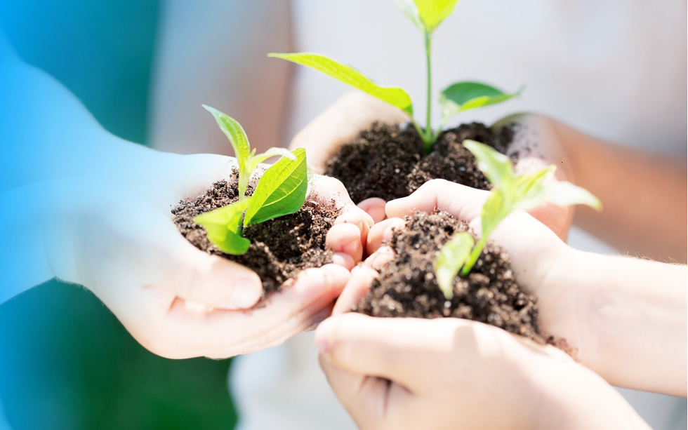 thumb-tree-planting